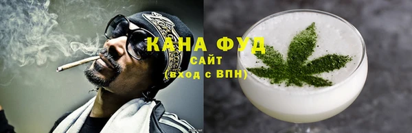 дмт Ельня