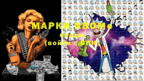 шишки Алзамай