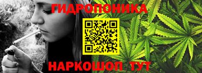 прущие грибы Пенза