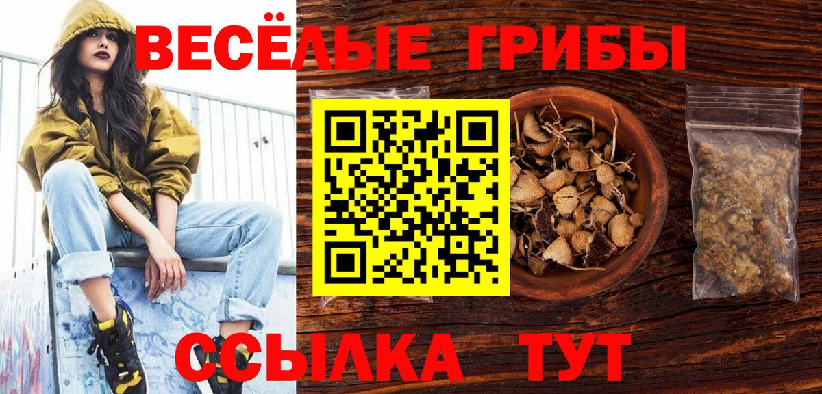 Галлюциногенные грибы прущие грибы  Вход с VPN  Электрогорск 